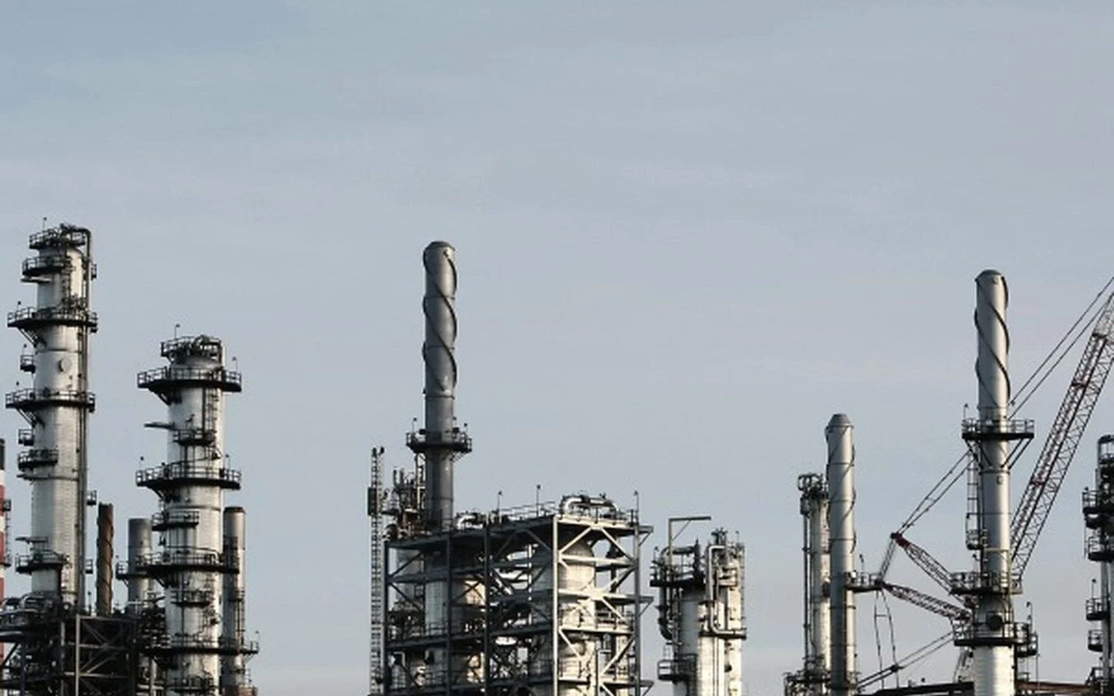 Industrial metrology structures for Ommatidia measurement workflows