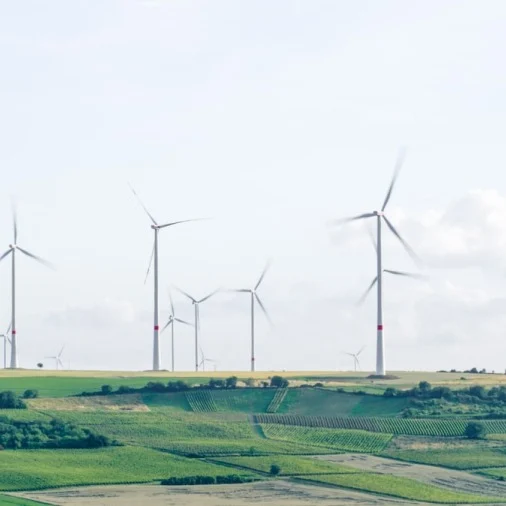 ommatidia energy 2024 10 01 ommatidia energy
